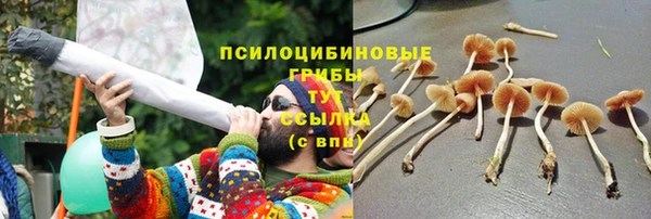 хмурый Нязепетровск