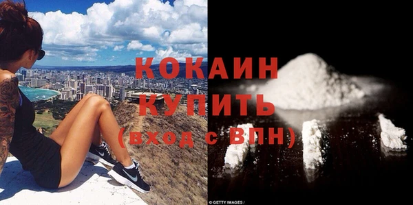 шишки Няндома