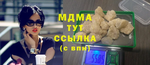 шишки Няндома
