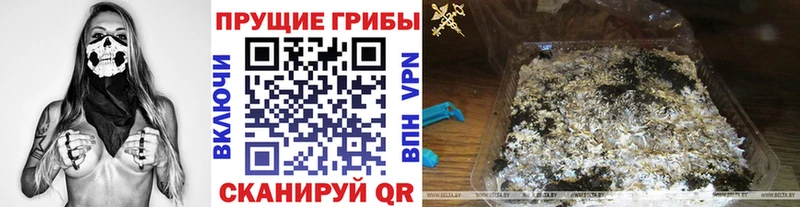 Галлюциногенные грибы мицелий дарнет шоп Гвардейск